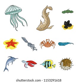 A variety of marine animals cartoon icons in set collection for design. Fish and shellfish vector symbol stock web illustration.