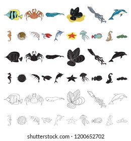 A variety of marine animals cartoon icons in set collection for design. Fish and shellfish vector symbol stock web illustration.