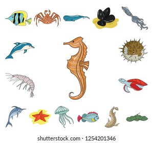 Beautiful Dangerous Marine Animal Separately On Stock Vector (Royalty ...