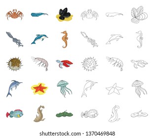 A variety of marine animals cartoon,outline icons in set collection for design. Fish and shellfish vector symbol stock web illustration.