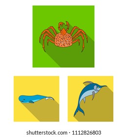 A variety of marine animals flat icons in set collection for design. Fish and shellfish vector symbol stock web illustration.