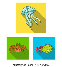 A variety of marine animals flat icons in set collection for design. Fish and shellfish vector symbol stock web illustration.