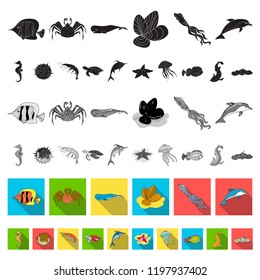 A variety of marine animals flat icons in set collection for design. Fish and shellfish vector symbol stock web illustration.