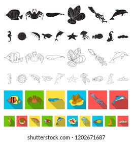 A variety of marine animals flat icons in set collection for design. Fish and shellfish vector symbol stock web illustration.
