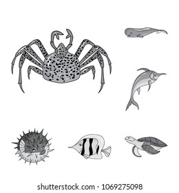 A variety of marine animals monochrome icons in set collection for design. Fish and shellfish vector symbol stock web illustration.