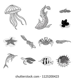 A variety of marine animals monochrome icons in set collection for design. Fish and shellfish vector symbol stock web illustration.