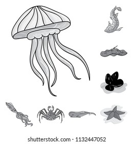 A variety of marine animals monochrome icons in set collection for design. Fish and shellfish vector symbol stock web illustration.