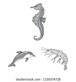A variety of marine animals monochrome icons in set collection for design. Fish and shellfish vector symbol stock web illustration.