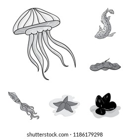 A variety of marine animals monochrome icons in set collection for design. Fish and shellfish vector symbol stock web illustration.