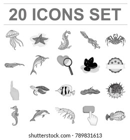 A variety of marine animals monochrome icons in set collection for design. Fish and shellfish vector symbol stock web illustration.