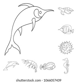 A variety of marine animals outline icons in set collection for design. Fish and shellfish vector symbol stock web illustration.