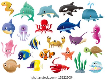 A variety of marine organisms