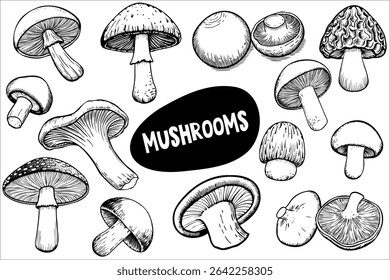 Een verscheidenheid aan champignons geïllustreerd in zwart en wit. Verschillende vormen en maten worden weergegeven, inclusief caps en stengels. Het woord 'paddestoelen' is prominent aanwezig.