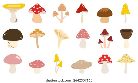 Variety of Mushrooms Vector Illustration Full Set. Fungi. Colorful. #60