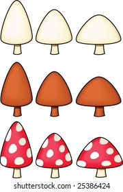 Variety of Mushrooms - vector illustrations
