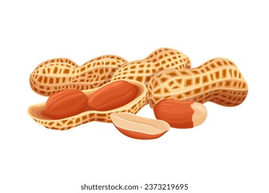 variety of peanuts Raw shelled peanuts of different shapes stand vertically isolated on white background.	