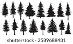 A variety of pine tree silhouettes are arranged artistically in different sizes. This collection showcases the natural beauty of evergreen trees ideal for design purposes.