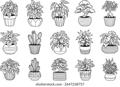 Uma variedade de plantas em vaso no estilo de arte de linha preta e branca, apresentando Cacti, Bonsai e verde exuberante