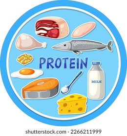 Variety of protein foods illustration