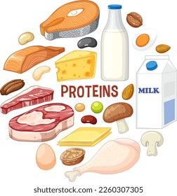 Variety of protein foods with text illustration