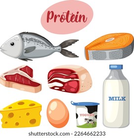 Variety of protein foods with text illustration