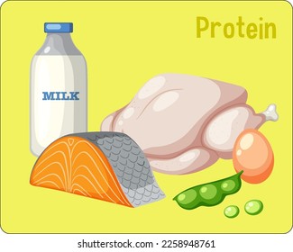 Variety of protein foods vector illustration