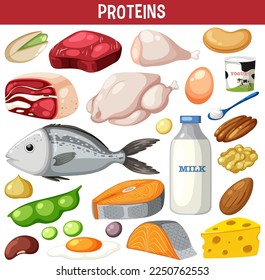 Variety of protein meats with text illustration