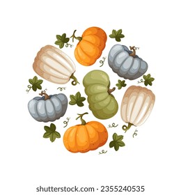 A variety of pumpkins collected in a round pattern. Suitable as a background for Thanksgiving, harvest day, halloween, banners, wallpaper, wrapping, postcard - vector image