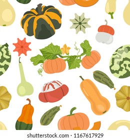 Variety of pumpkins. Flat design seamless pattern. Vector illustration