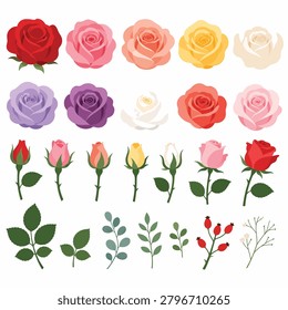 A variety of roses and rose buds in different colors