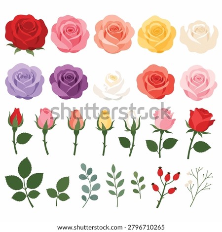 A variety of roses and rose buds in different colors