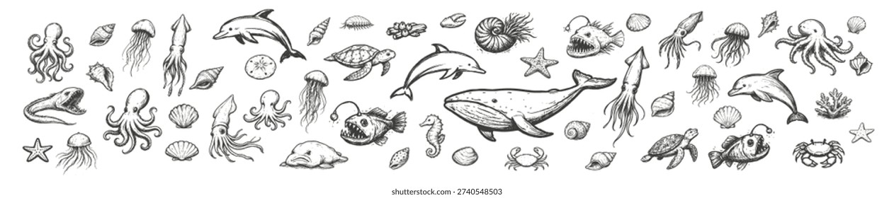 A variety of sea creatures and shells are depicted in a detailed, vintage sketch illustration, showcasing ocean biodiversity