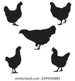 Variety silhouettes chicken vector, hen vector