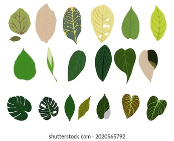 Eine Vielzahl von gefleckten Blättern Vektorgrafik.