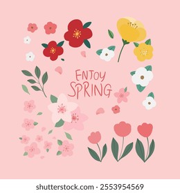a variety of spring flower illustrations