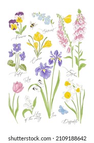Variety spring flowers botanical hand drawn vector illustration set isolated on white. Vintage romantic cottage garden florals curiosity cabinet aesthetic print.