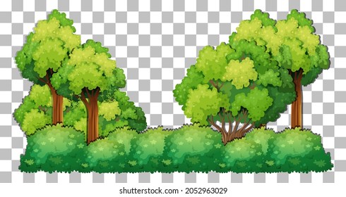 Variety trees on transparent background illustration