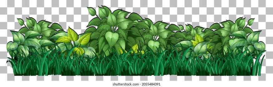 Varios árboles en ilustración de fondo transparente