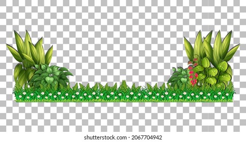 Variety trees on transparent background illustration