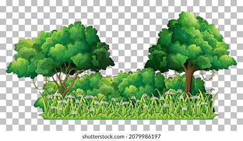 Variety trees on transparent background illustration