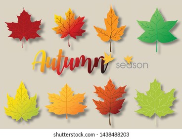 Variety type and colors of maple leaves with "Autumn season" lettering on lights brown background.