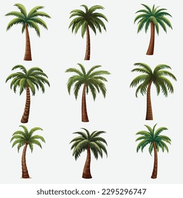 Variety of Vector Palm Tree Illustrations in Various Variants, Isolated on a White Background