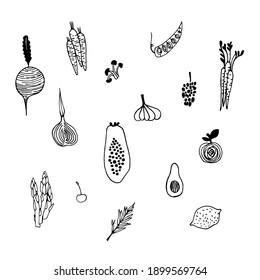 A variety of vegetables hand drawn on a white background.