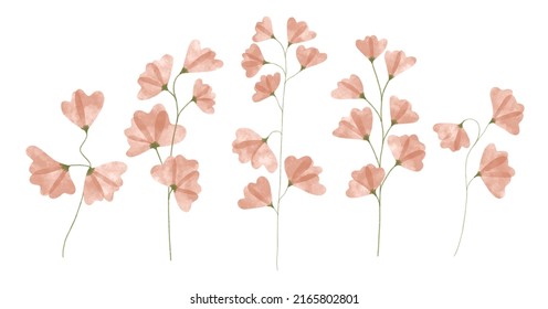 Variedad de flores de moda acuarelas. Ilustración vectorial para web, aplicación e impresión. Elegantes formas femeninas floristicas aisladas flores de guisantes dulces. Jardín, botánico, decorado con flores minimalistas.