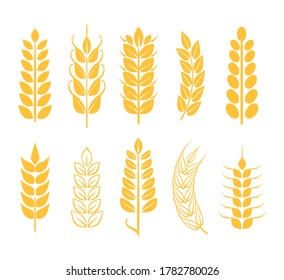 Variety of Wheat Ears set