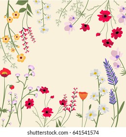 Variety of Wild Flowers Vector Illustration