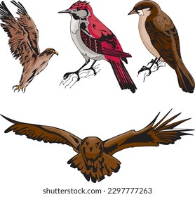 A variety of wildlife birds featuring one of them being a flying owl vector.