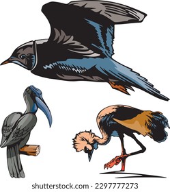 A variety of wildlife birds featuring one of them being a sparrow vector.