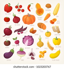 Variety of yellow, red and purple common farm and exotic fruit and vegetables. List of plants from grocery store with their market names. Isolated vector icons. 