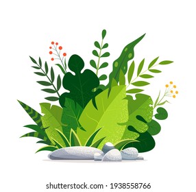 Various abstract exotic plants put together. Botanical illustration of tropical leaves and flowers, isolated background